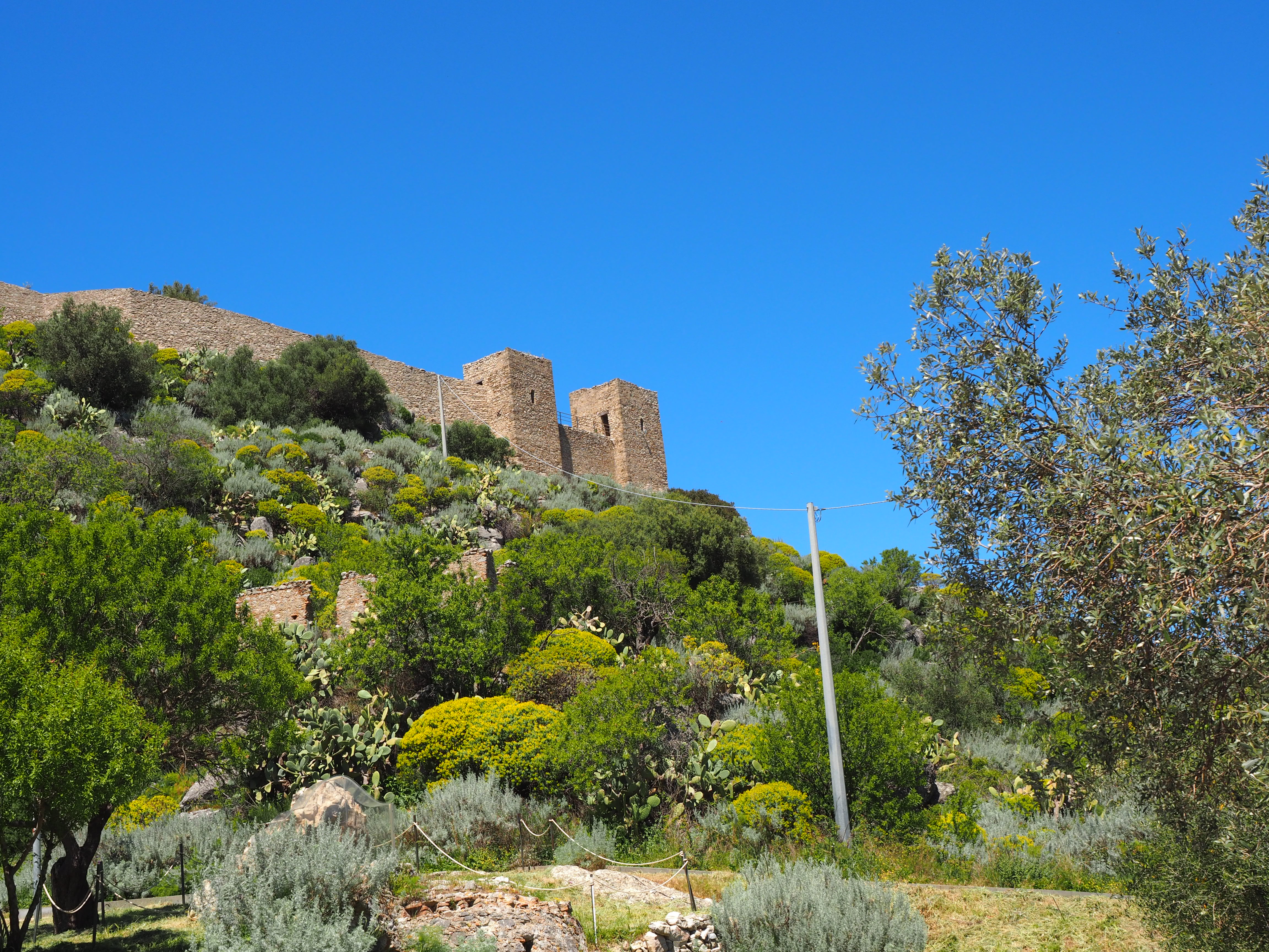 Castello di Badolato tra gli ulivi